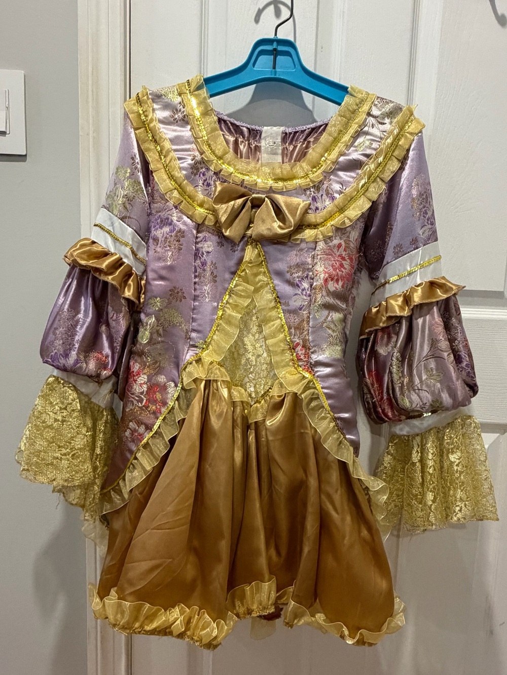 Marie Antoinette costume brocade dress